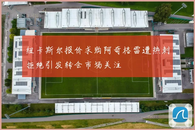 纽卡斯尔报价求购阿奇格雷遭热刺拒绝引发转会市场关注